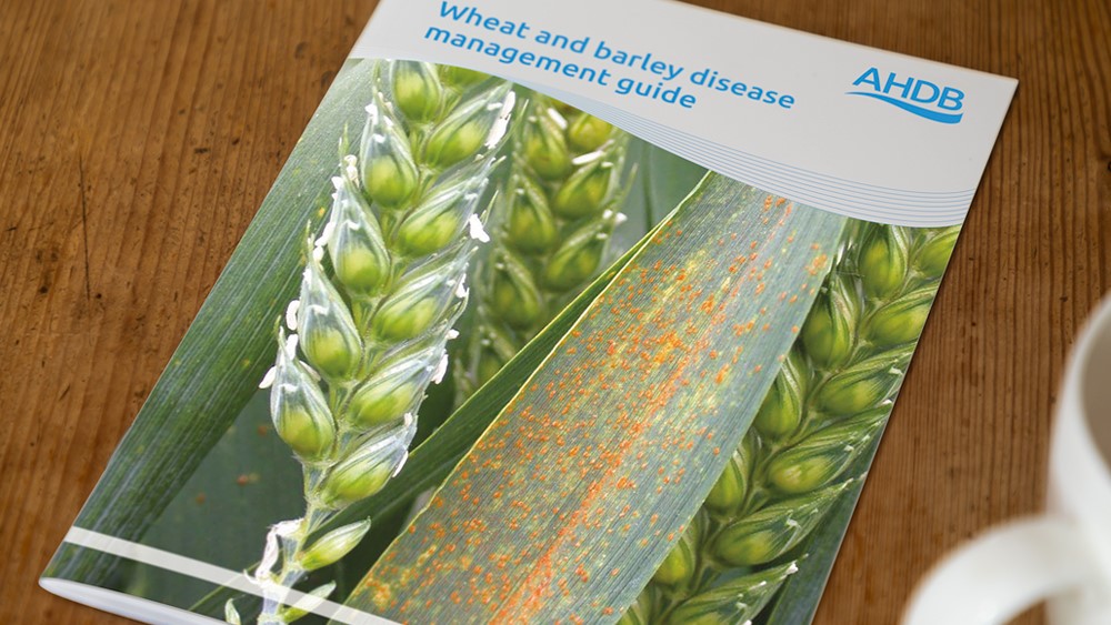 A copy of the wheat and barley disease management guide